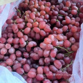 Hot Selling Top Quality Crimson Seedless Grapes For Wholesale
